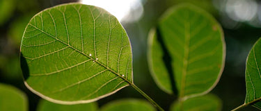 Cilt Bakım Rutininde Sadelik